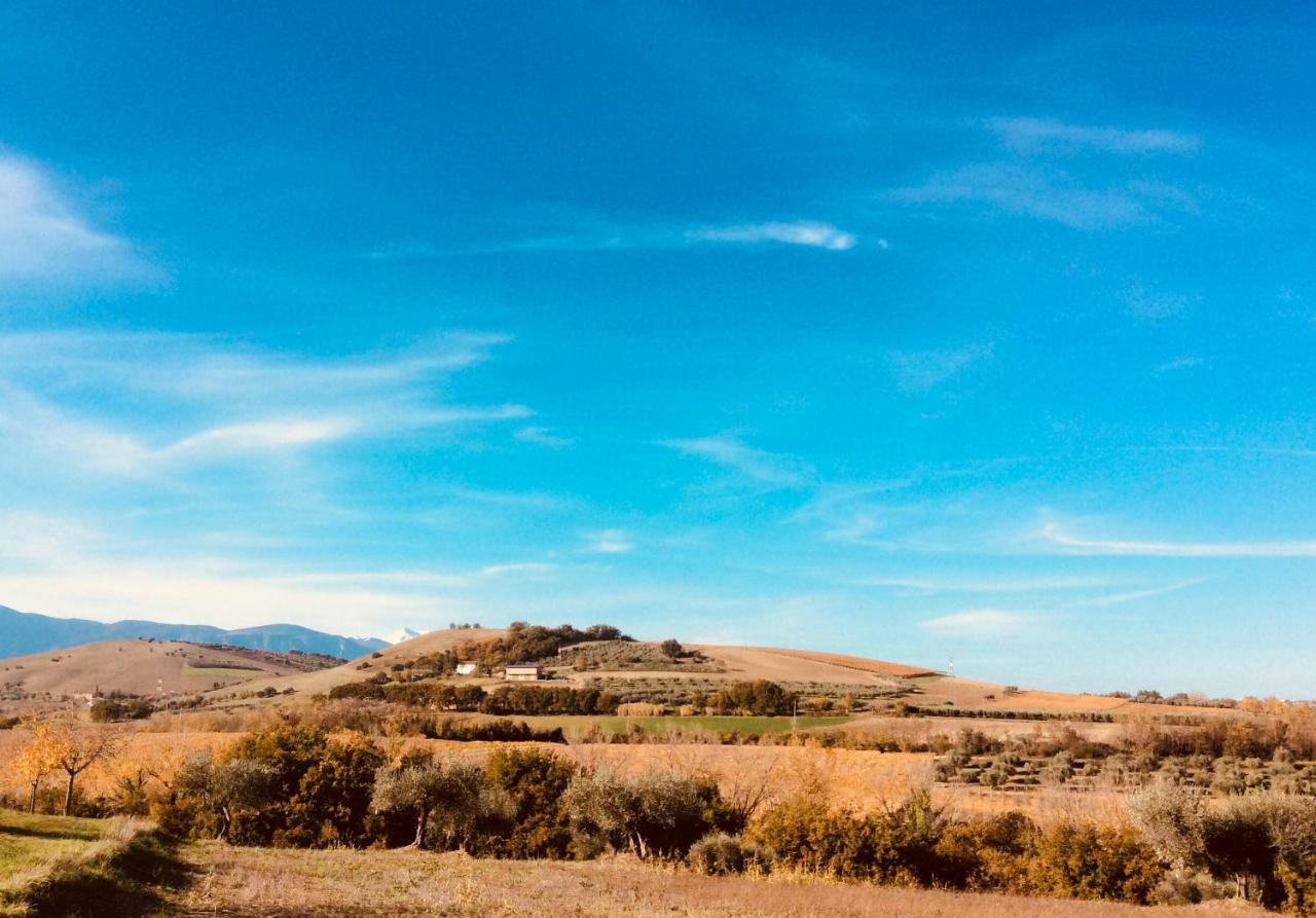 Le Terre D'Abruzzo Guest House Alanno Luaran gambar