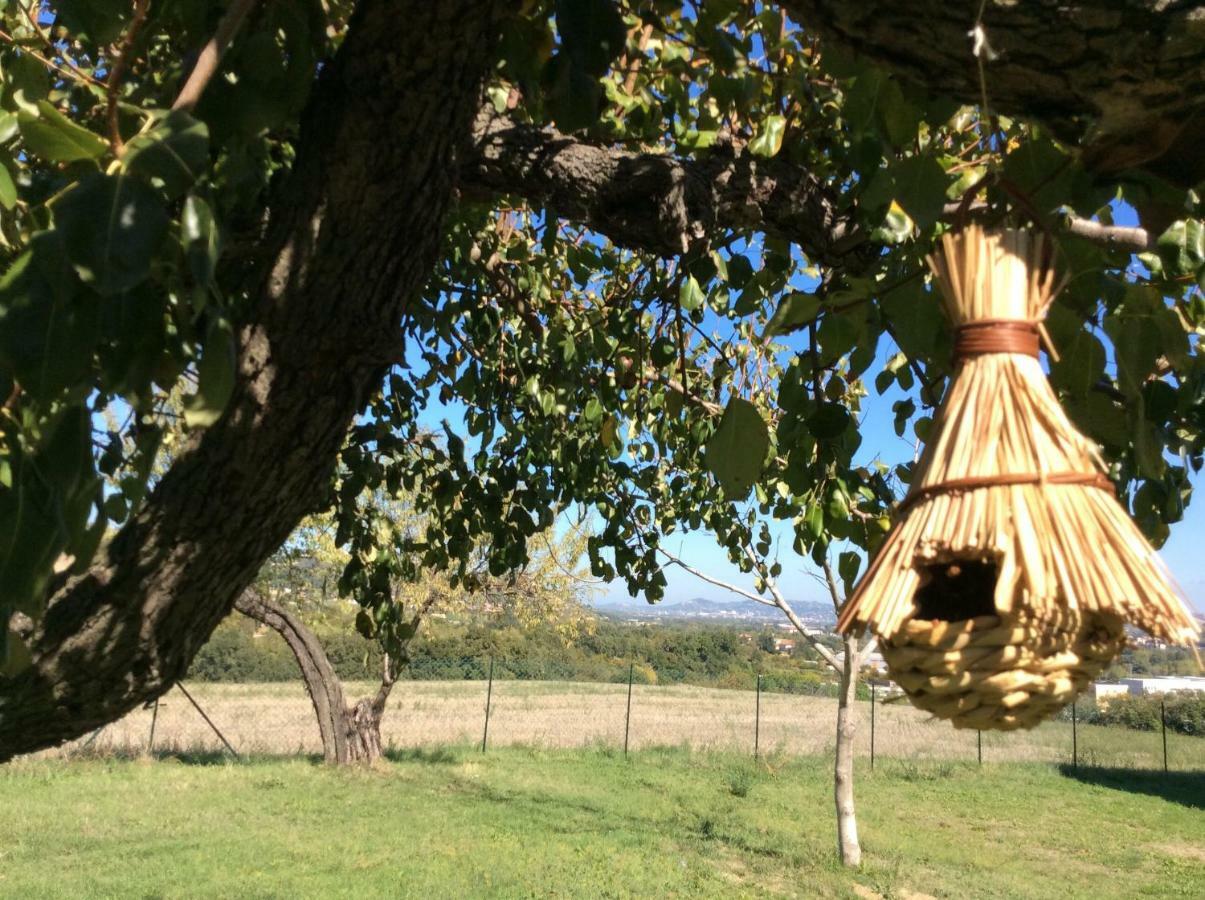 Le Terre D'Abruzzo Guest House Alanno Luaran gambar